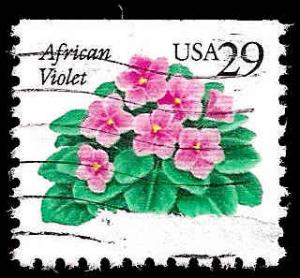 # 2486 USED AFRICAN VIOLETS