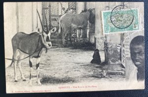 1910 Djibuti French Somali Coast RPPC Postcard cover A thoroughbred stable