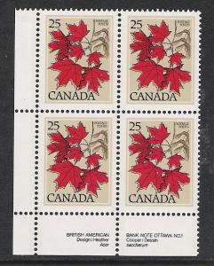 Canada PL BL Sugar Maple 25