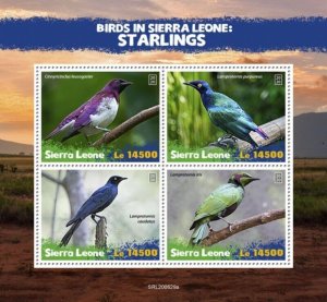 Sierra Leone - 2020 Starlings, Emerald - 4 Stamp Sheet - SRL200629a