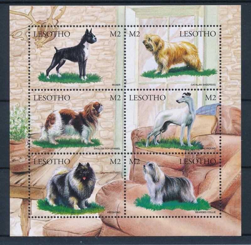 [35703] Lesotho 1999 Animals Dogs MNH Sheet