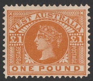 WESTERN AUSTRALIA 1902 QV £1 orange-brown. ACSC W66 cat $600.