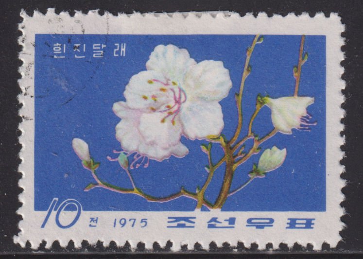 North Korea 1374 White Azalea 1975