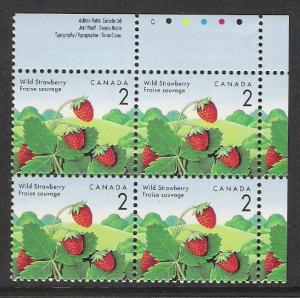 Canada PL BL Wild Strawberry 2