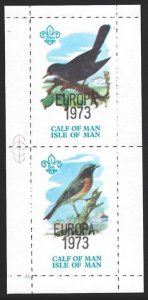 Calf of Man | Isle of Man BIRDS Sheet of 2 Great Britain Local Post VF-NH-