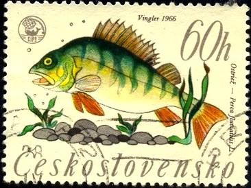 Fish, European Perch, Czechoslovakia SC#1381 used