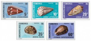 COMOROS - 1971 - Shells - Perf 5v - Mint Never Hinged