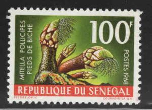 Senegal Scott 306 MNH** Goose Barnacle 100fr stamp CV $6.50