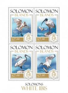 SOLOMON ISLANDS 2013 SHEET WHITE IBIS BIRDS slm13816a