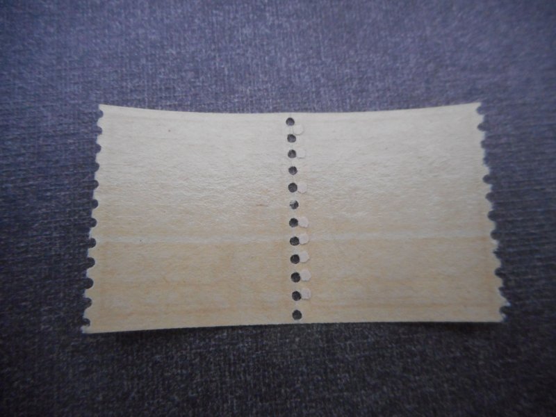 # 493 VFNH Pair Type I