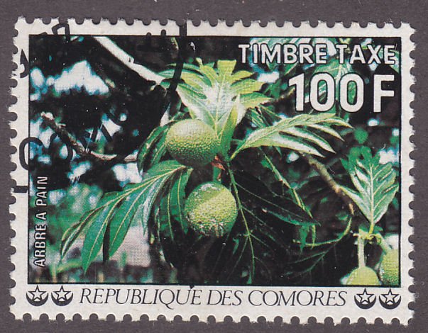 Comoro Islands J15 Flowers 1977