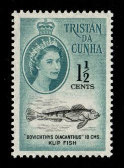Tristan da Cunha #44 MLH