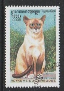 1999 Cambodia - Sc 1821 - used VF -  1 single - Cats