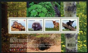 2602 Canada $4.92  Baby Animals SS/4, MNH cv $10.00