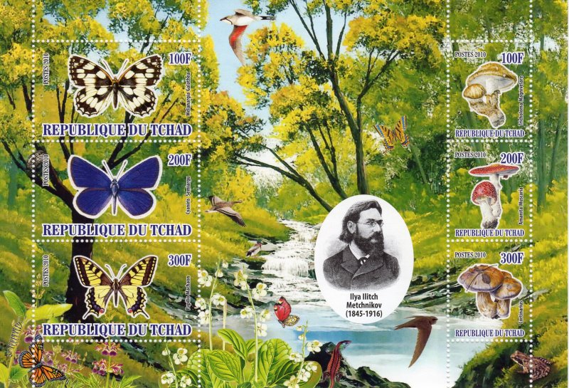 Chad 2010 Butterflies/Mushrooms/Birds 7 Souvenir Sheets Perforated MNH