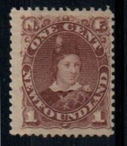 Newfoundland Scott 41 Mint hinged (nice gum)