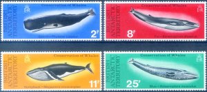 Fauna. 1977 Cetaceans.