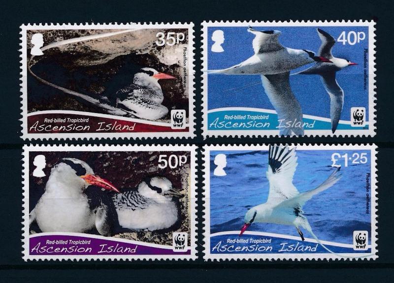 [53645] Ascension 2011 Birds Vögel Oiseaux Ucelli WWF Tropicbird MNH