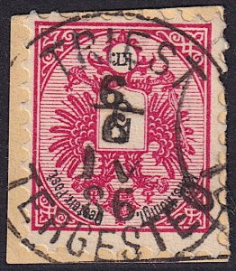 Austria - 1883 - Scott #43 - used on piece - s.o.n. TRIEST TERGESTEO pmk Italy