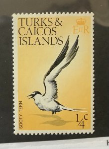 Turks & Caicos Islands 1973 Scott 265 MNH - ¼c, Birds, Sooty tern