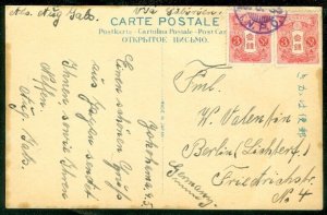 EDW1949SELL : JAPAN Early Hand Painted Picture Post card to Germany.