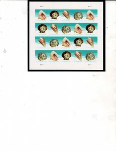 Sea Shells Postcard Rate Postage Sheet #5164-67 MNH