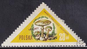 Poland 842 Amanita Phallodes Mushrooms 20Gr 1959