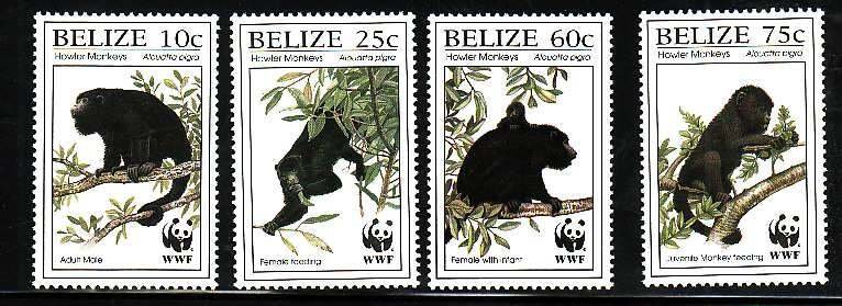 Belize-Sc#1083-6- id9-unused NH set-WWF-Monkeys-1997-