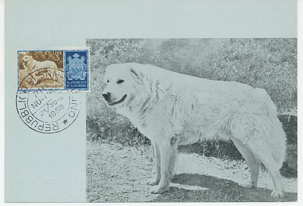 Maximum card San Marino 1958 Dog - Maremma Sheepdog