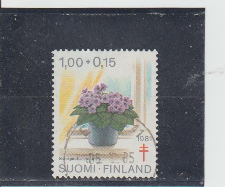 Finland  Scott#  B225  Used  (1981 African Violet)