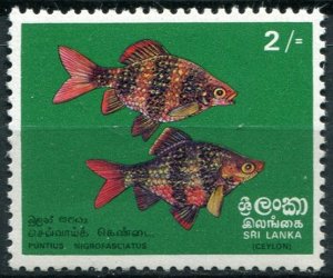 Sri Lanka Sc#476 MNH, 2r multi, Fish (1972) (1972)