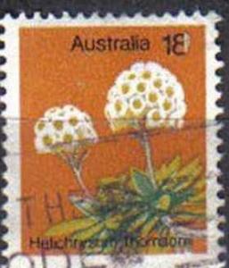 AUSTRALIA, 1975, used 18c. ?Helichrysum thomsonii?, Wild Flowers.