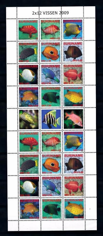 [SUV1616] Surinam 2009 Fish Miniature sheet MNH