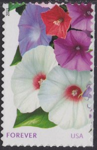 US 4752 La Florida White & Red Morning Glories forever single (1 stamp) MNH 2013 