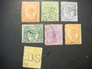 7 early QUEENSLAND   o3d