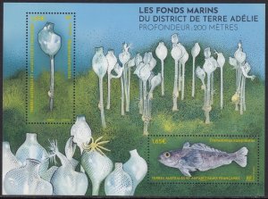 TAAF FRANCE ANTARCTIC 2024 FISH POISSONS FISCHE PESCE MARINE FAUNA FSAT