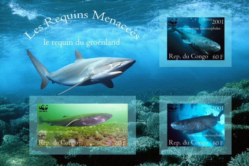 CONGO SHEET IMPERF MARINE LIFE SHARKS