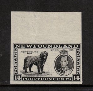 Newfoundland #238a Very Fine Mint Upper Margin Imperf - No Gum As Issued