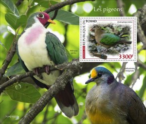 YEAR 2021/09- CHAD - PIGEONS          1V complet set    MNH ** T