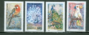 ROMANIA 1999 BIRDS #4294-4297 SET MNH...$2.95