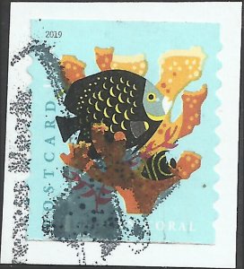 # 5369 Used Coral Reef: Elkhorn & Angel Fish