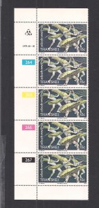 SOUTH AFRICA - TRANSKEI SC# 54  CONTROL STRIP/5  #264-67   FVF/MNH 1979