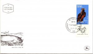 Israel, Worldwide First Day Cover, Birds