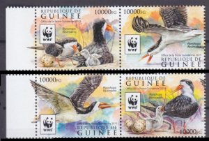 2015 Guinea 11528-11531Paar WWF / Birds 12,00 €