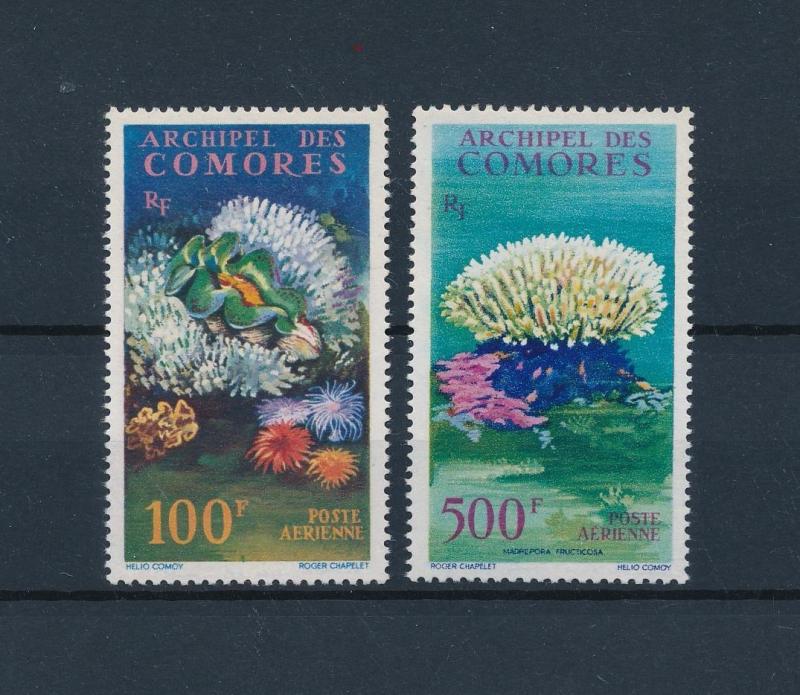 [47020] Comores Comoros 1962 Marine life Corals MNH