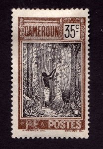 Cameroun      183       MH