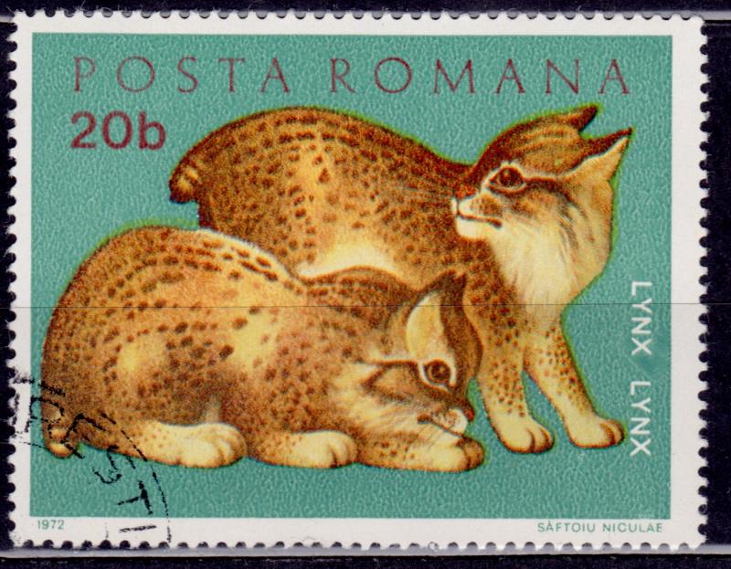 Romania, 1972, Lynx Animals, 20b, sc#2315, used