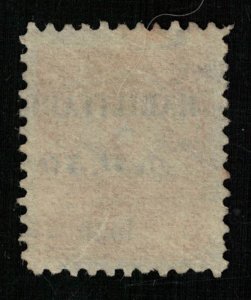 Paraguay 1913 Coat of Arms, overprint: Habilitado en 0.50 1920., 80c (ТS-693)