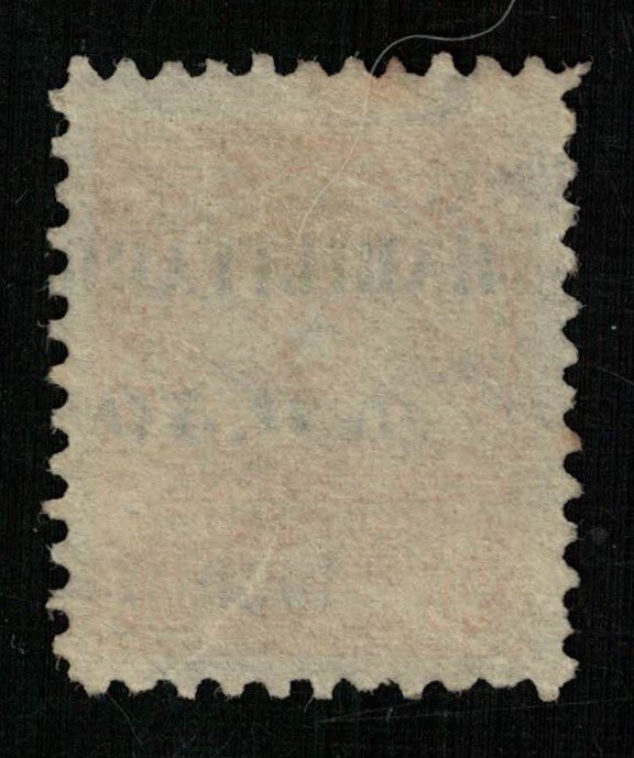 Paraguay 1913 Coat of Arms, overprint: Habilitado en 0.50 1920., 80c (ТS-693)