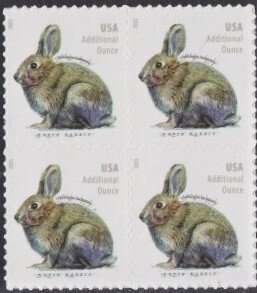 U.S.#5544 Brush Rabbit 20c Additional Ounce Block of 4, MNH.